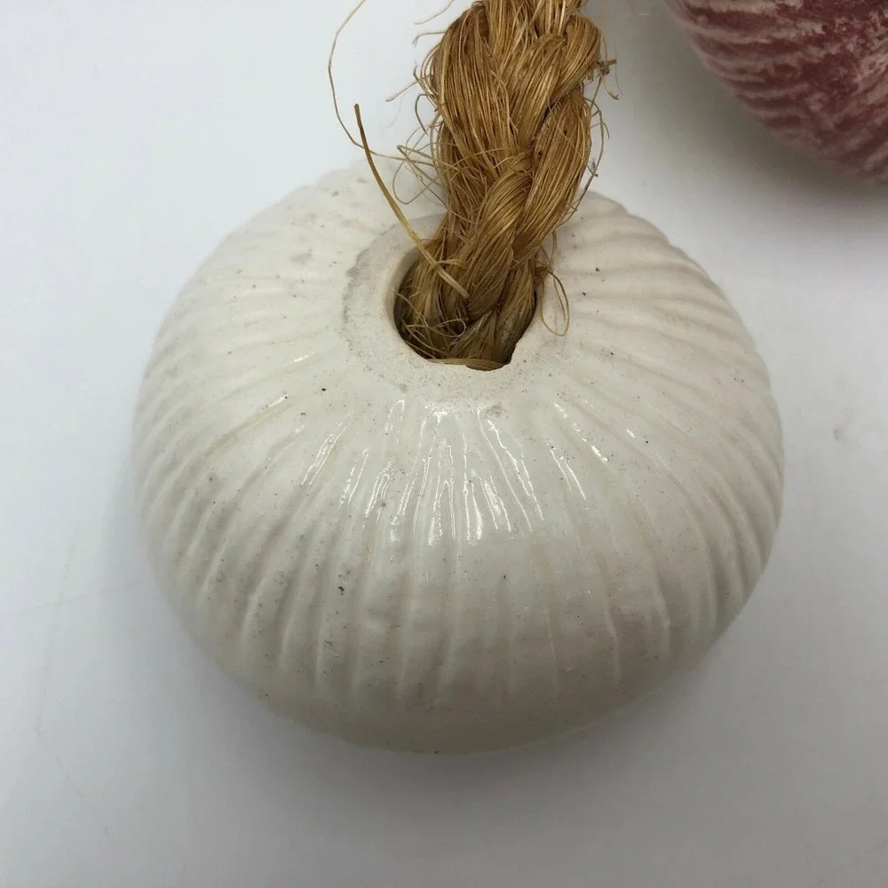 10 Ceramic White Red Purple Onions on Braided Jute Rope Wall Hanging Decor